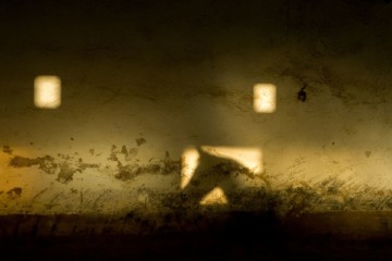 mindset-entwicklung_1